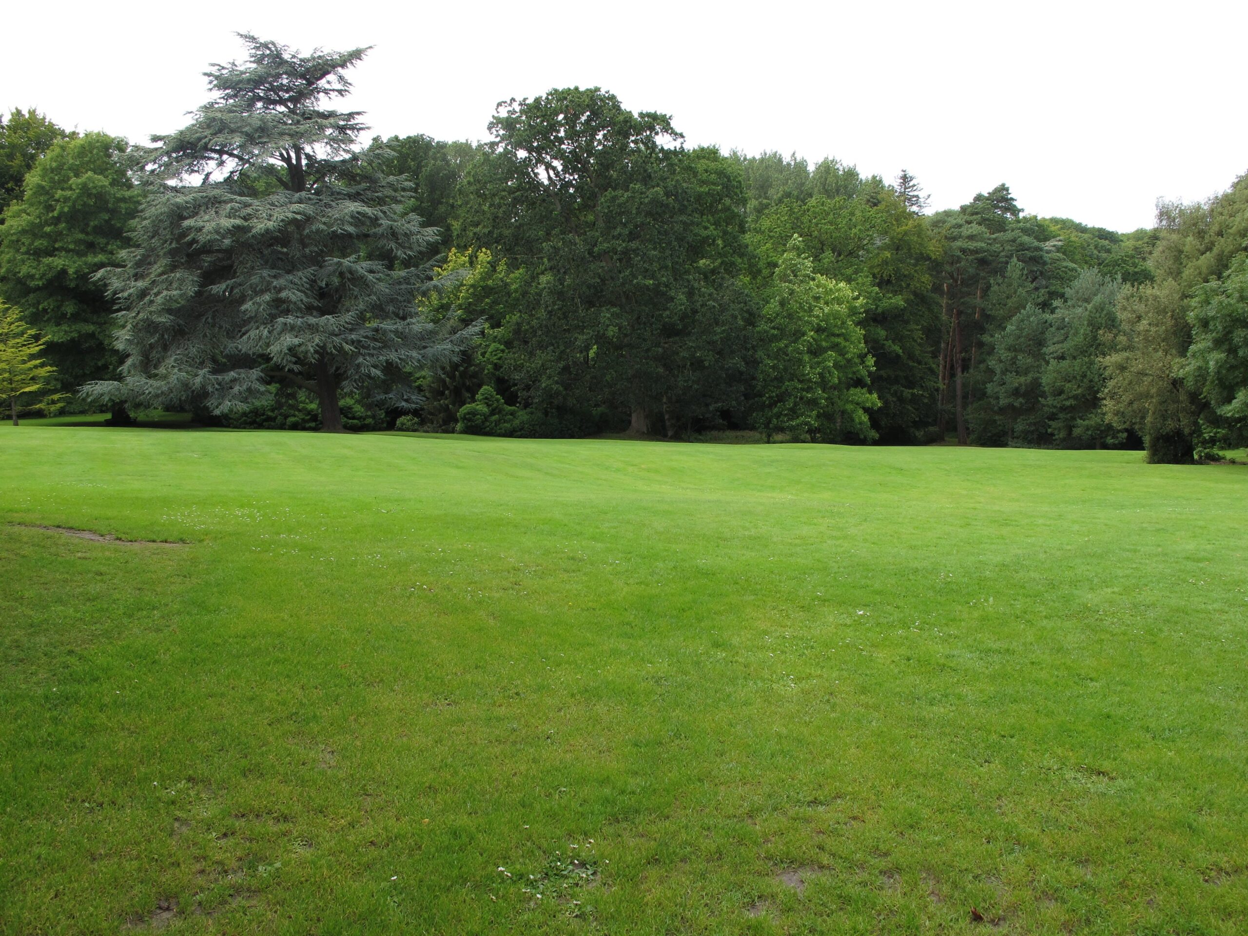 Bois des Moutiers X Gertrude Jekyll