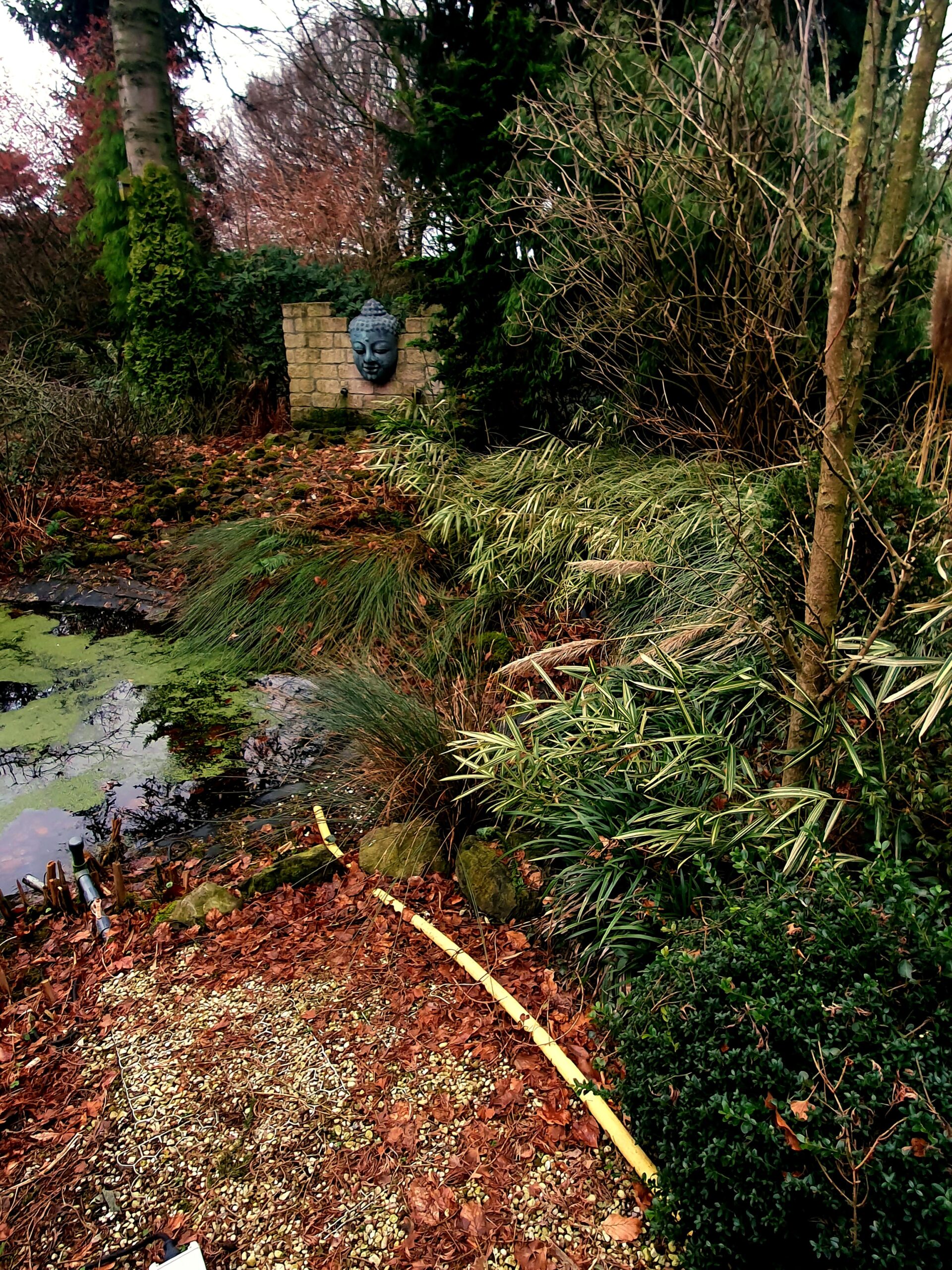 The rebellious hopeful act that is gardening